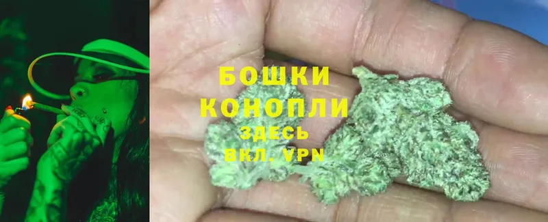 где найти наркотики  Елизово  нарко площадка формула  Марихуана OG Kush 